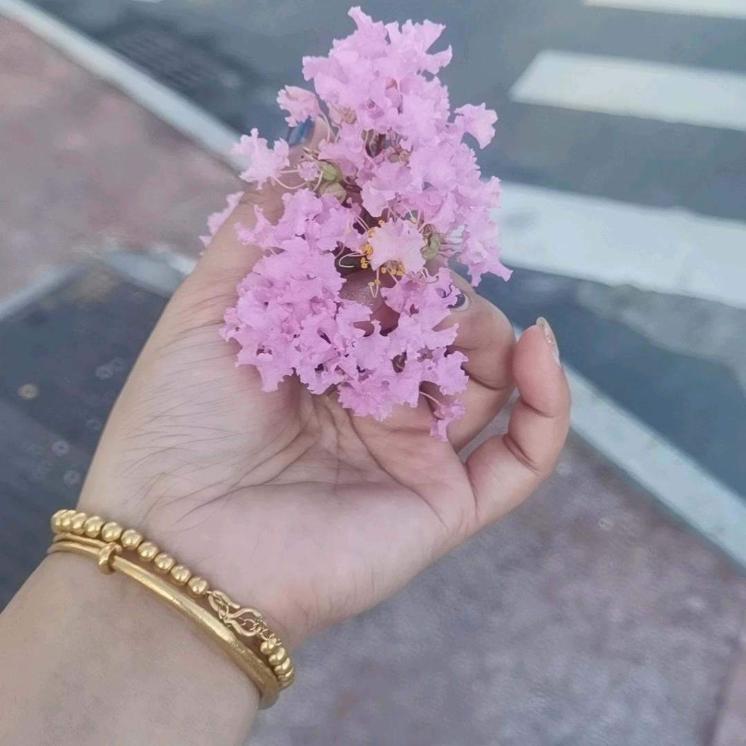 心若在，梦还在