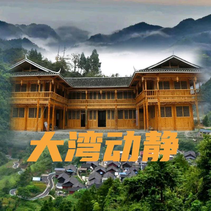 大湾动静（大湾志兴合作社）