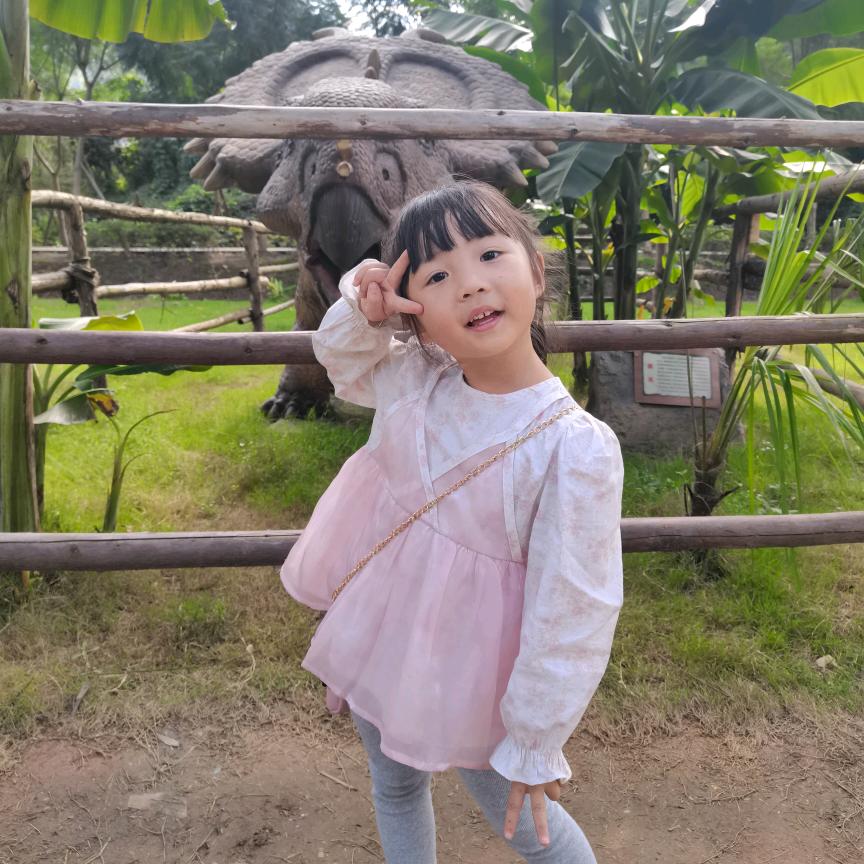A.今晚打老虎