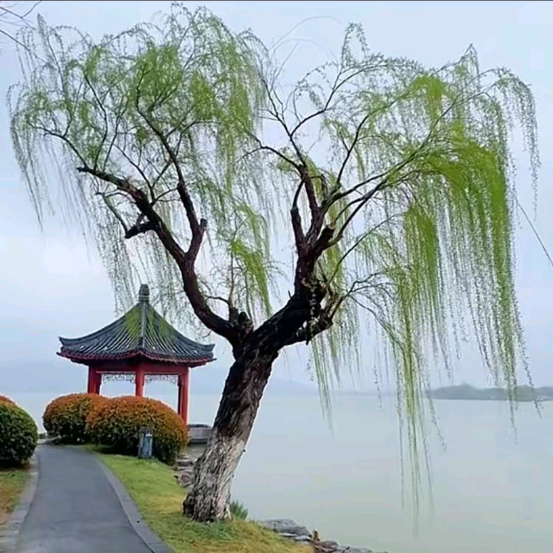 匆匆那年