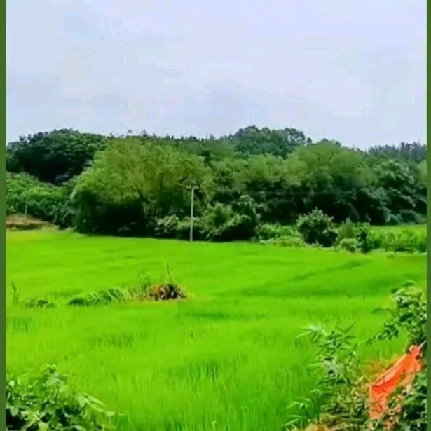 平淡，