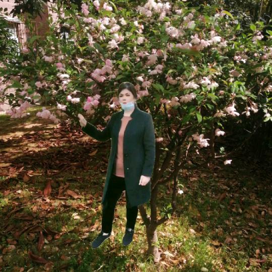 @一生平安🌹🌹拒绝……