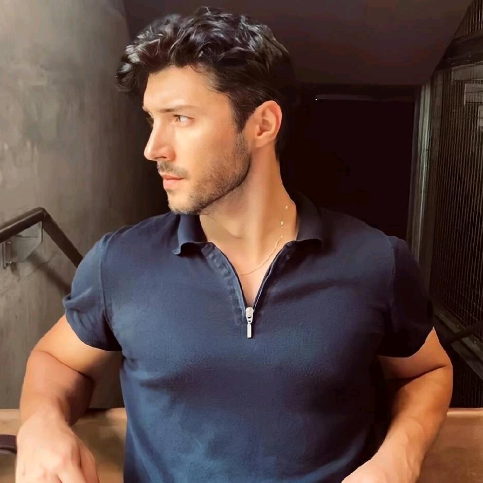 tayir 🕊