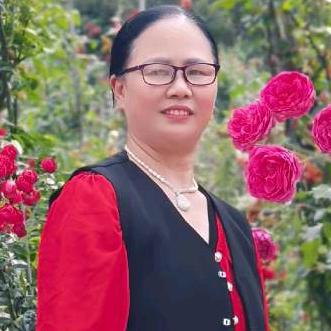 罗大姐（早上九点开）