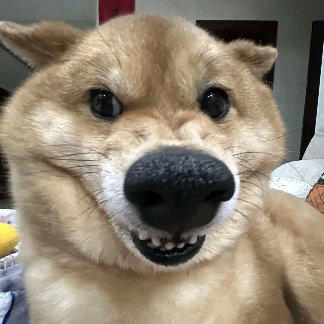 怪东西