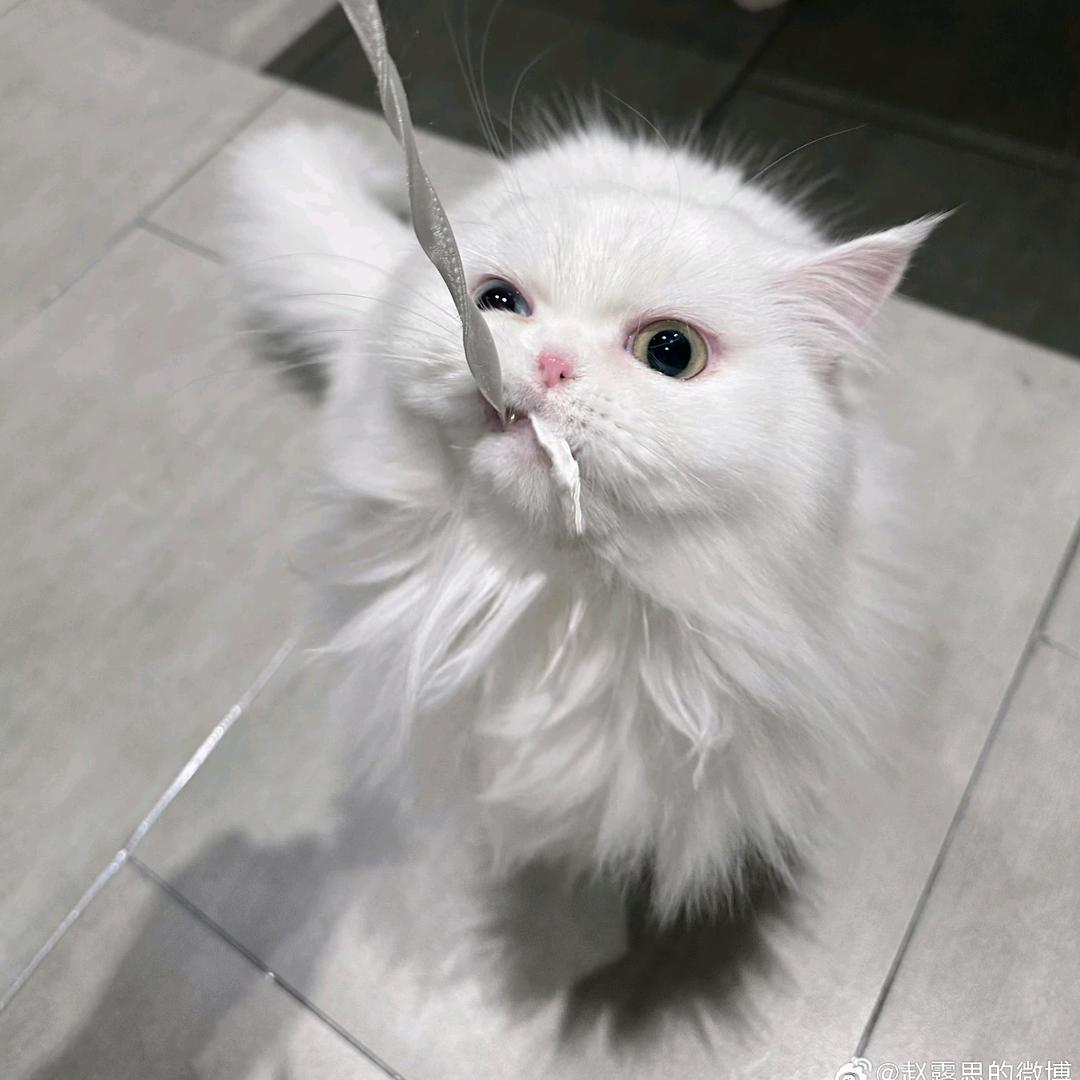 秋谦
