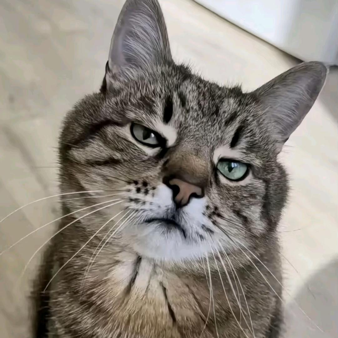 Sofia_