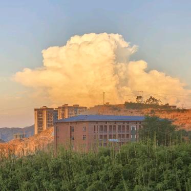 我是鼠鼠别打我