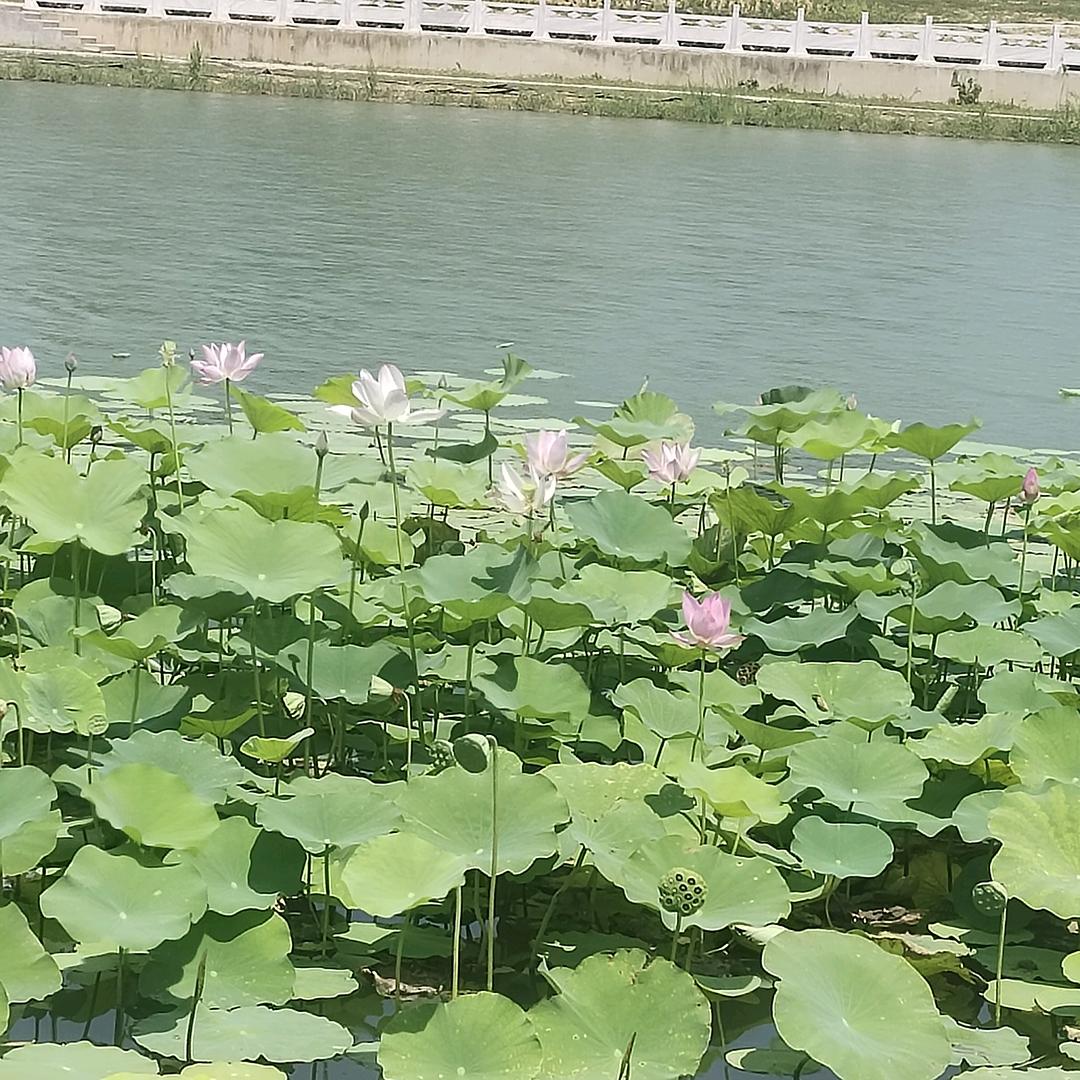 快快乐乐