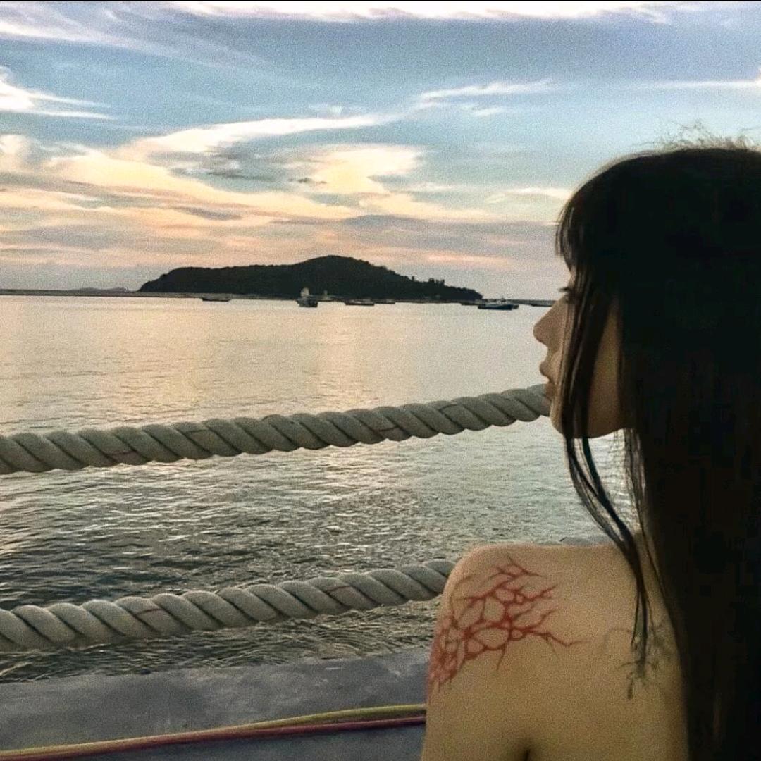我爱睡觉.