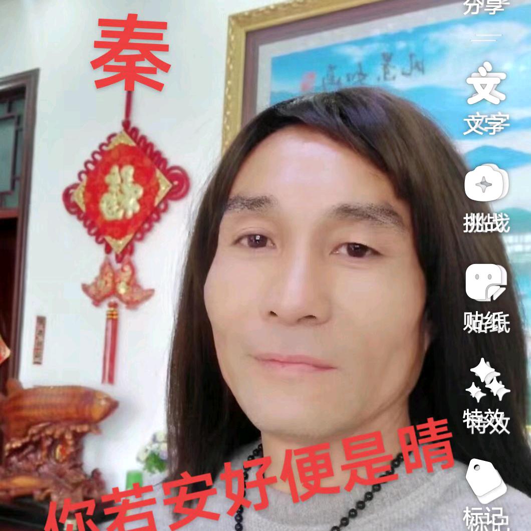 🌻✨🌺梅花🌺|✨🌻