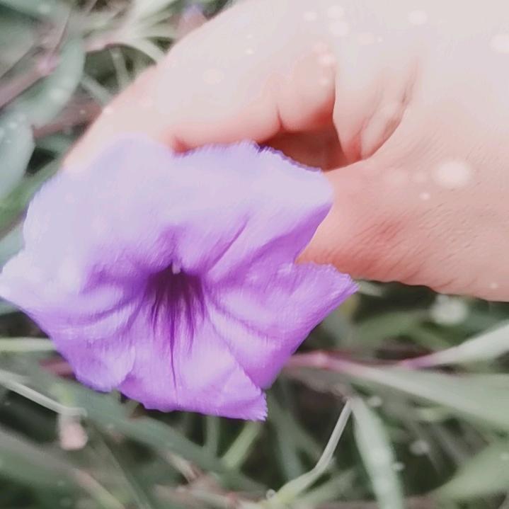 (鹏哥爱🎣🎣🎣🎣）