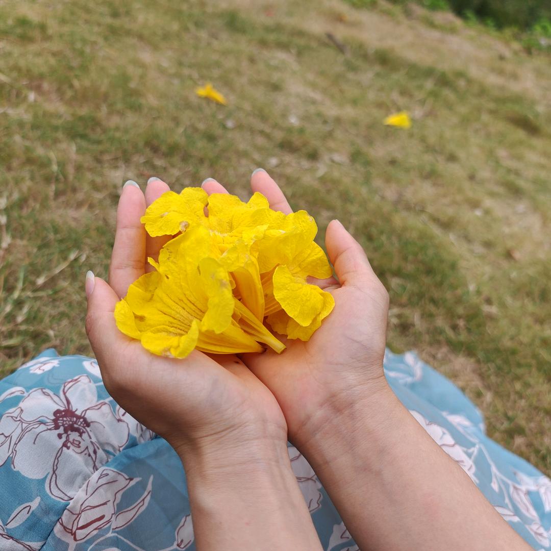 知新安全技术服务有限公司(灵山分公司)