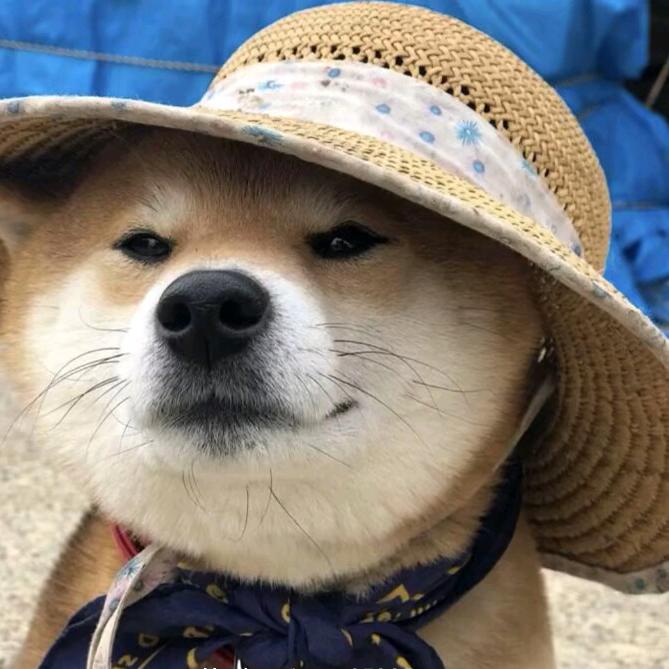 小玉想躺平