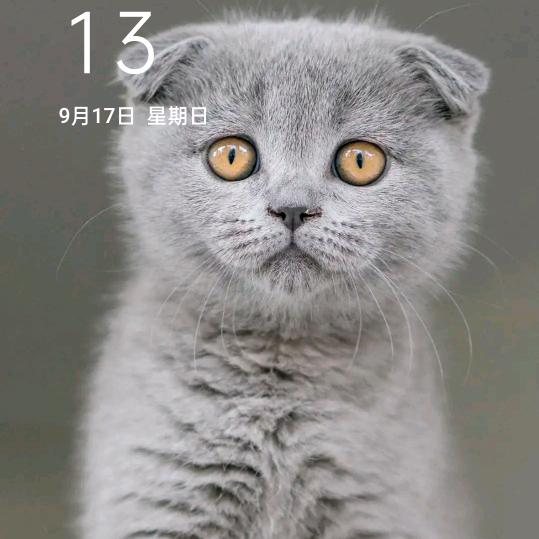 偷心者