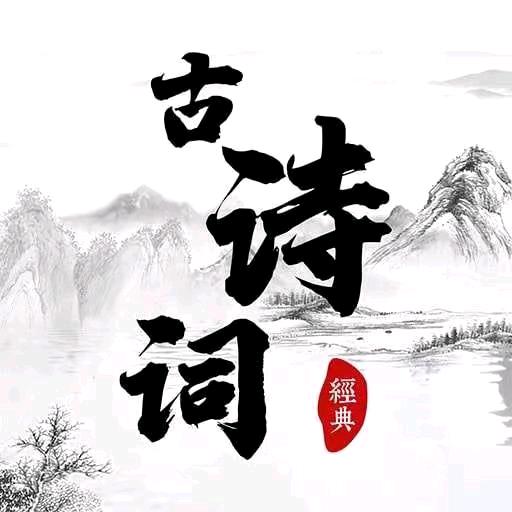 言言橱窗～好物