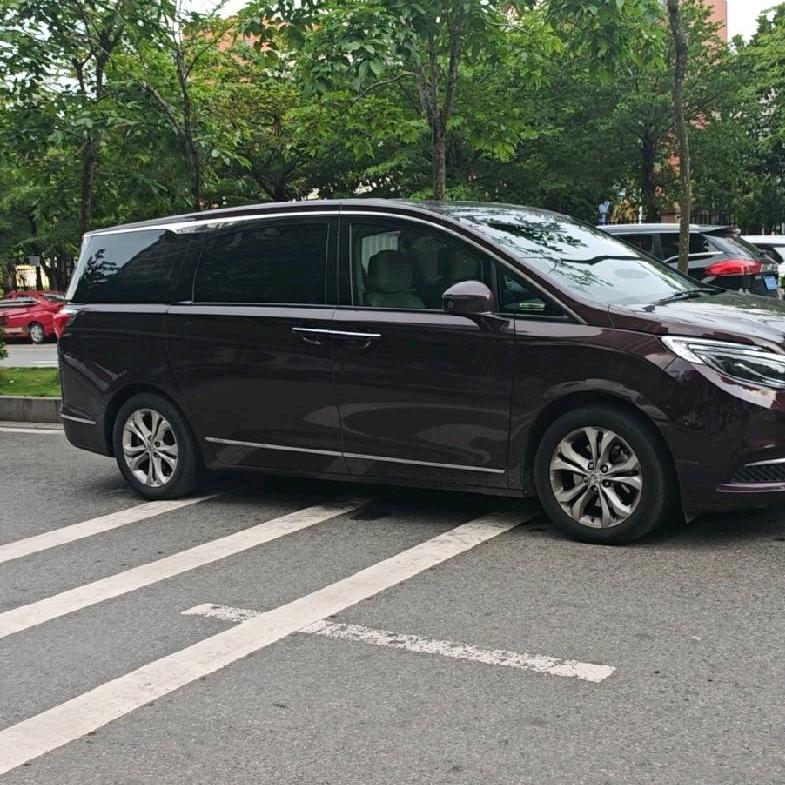 澳门风云《小麦》