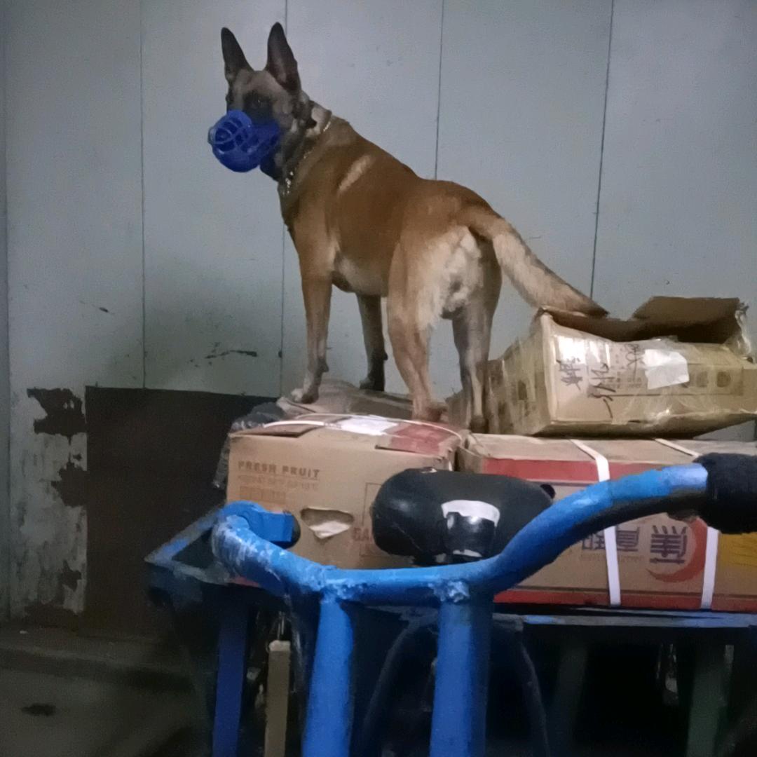 托尼