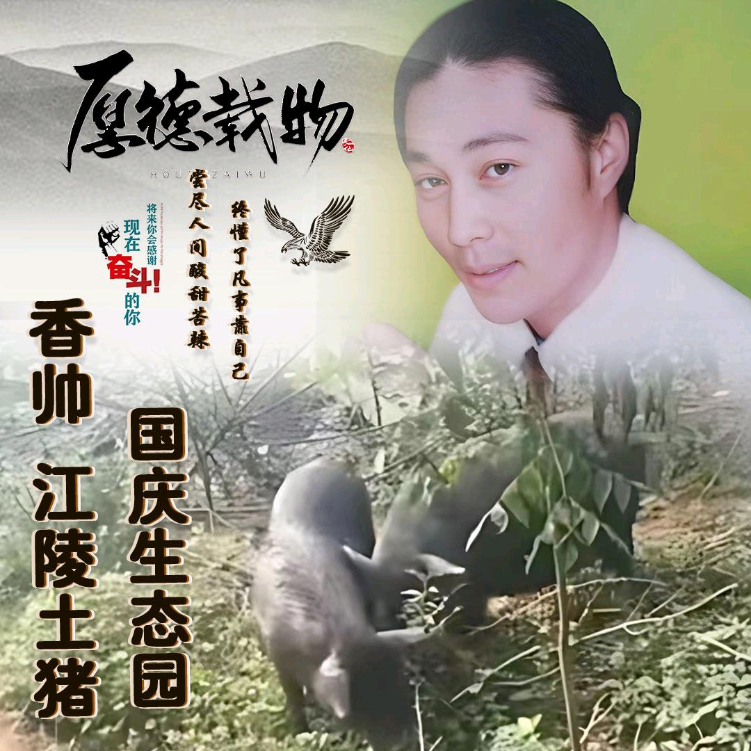 香帅～江陵土猪~国庆生态园