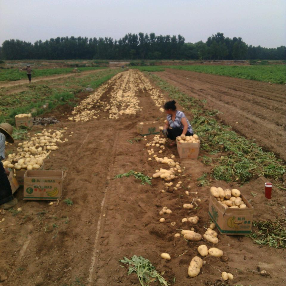 在希望的田野上！！！！！