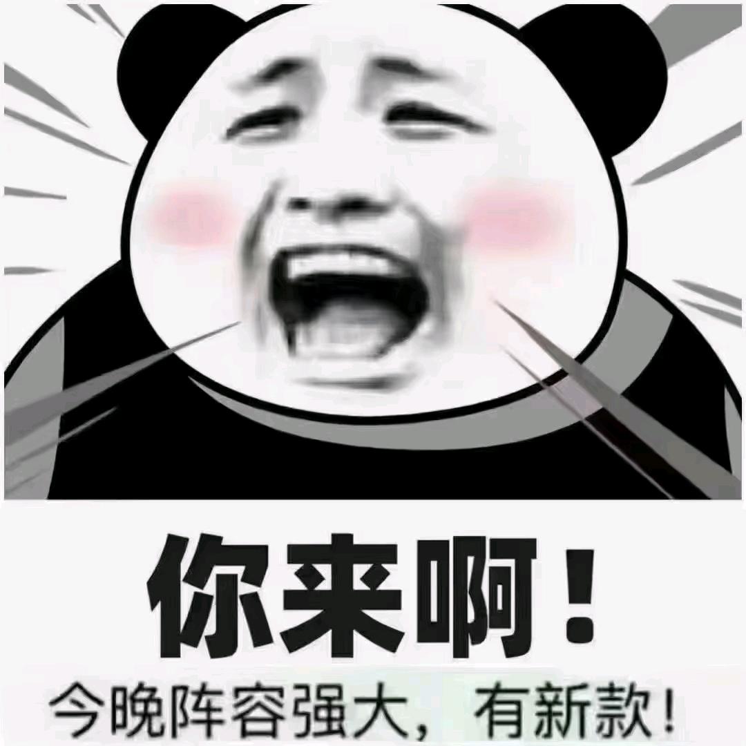 小泉泉