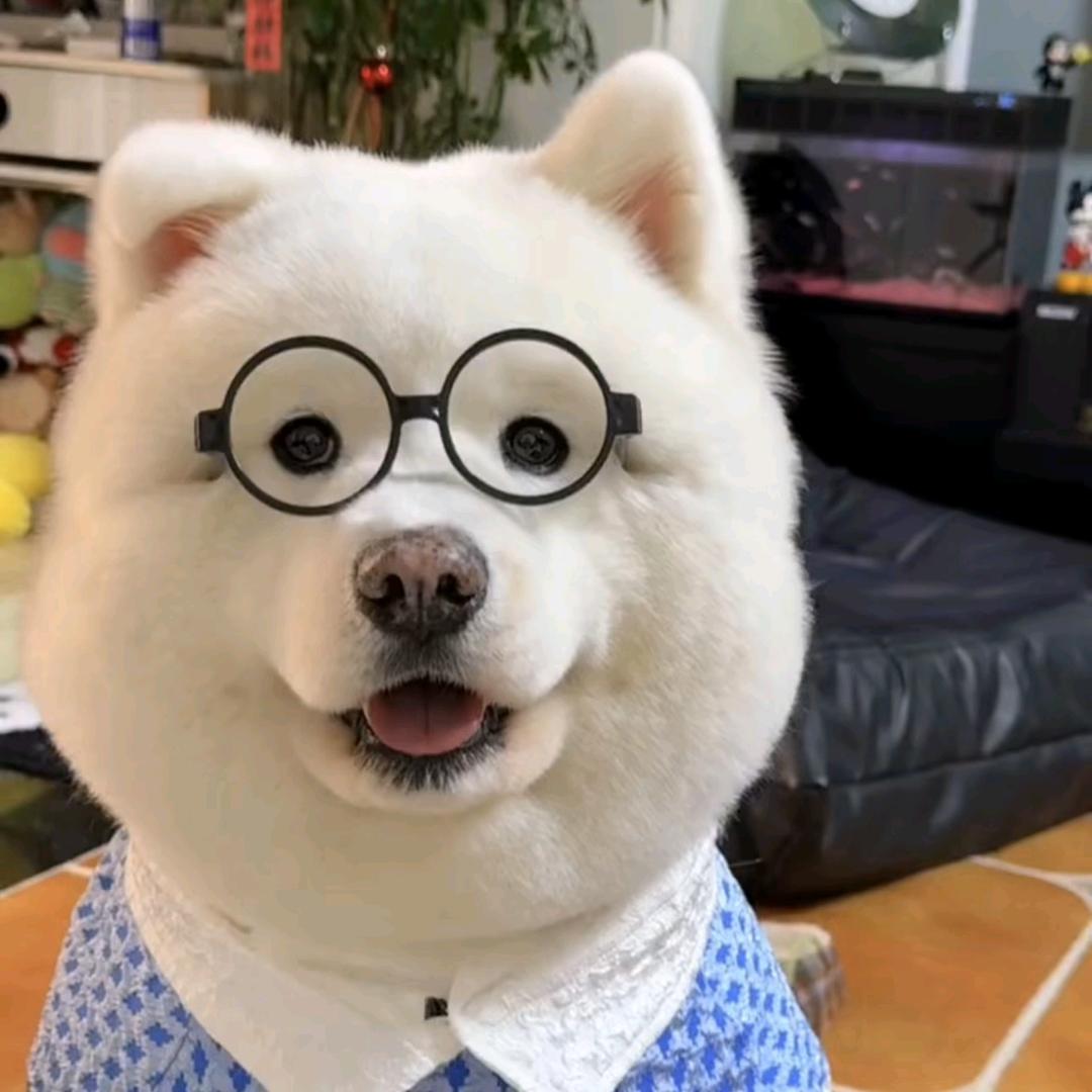 我的世界熊哥