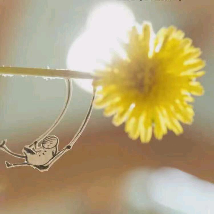 ❥余生安好ꦿᮨ້໌࿐