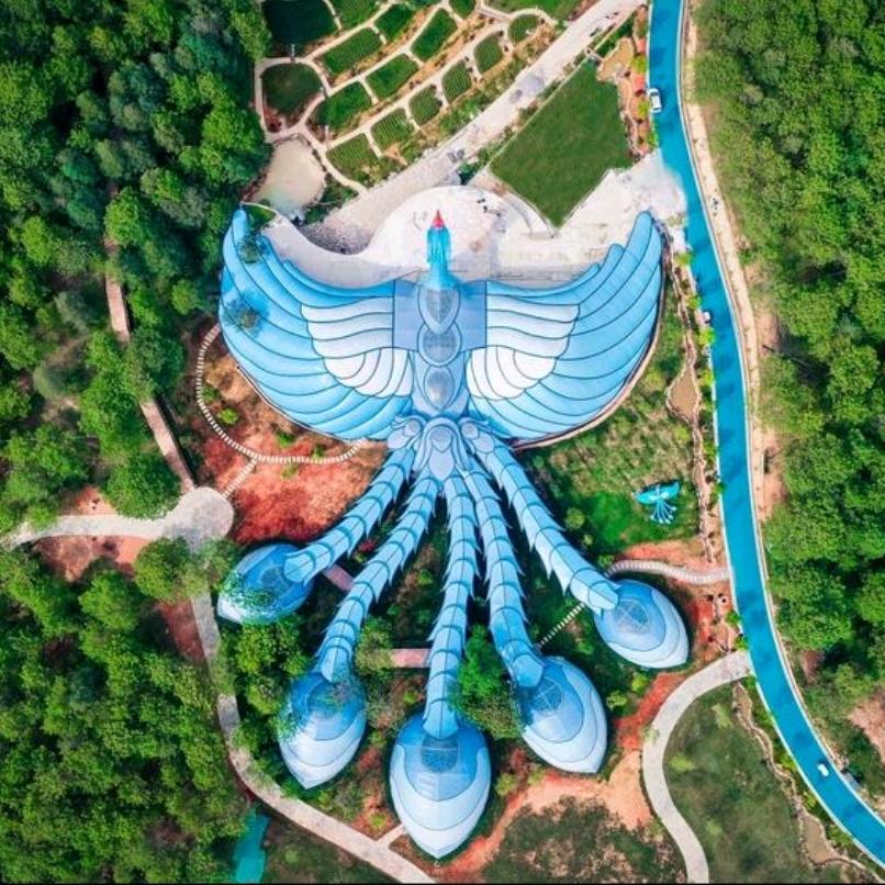 凤龙湾 康康