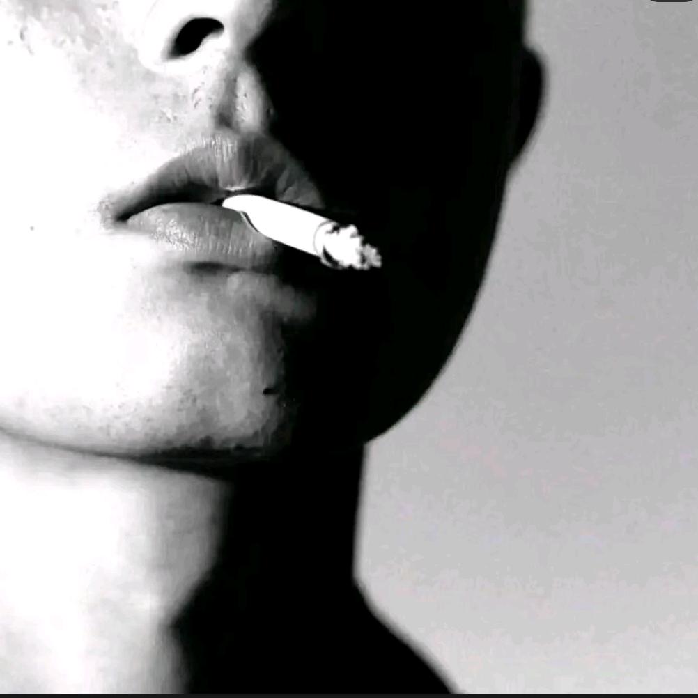 你、鹏哥