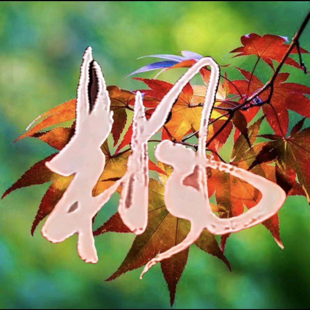 大叔同志《枫》