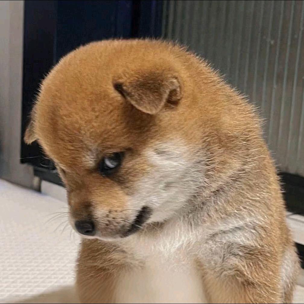 大胆