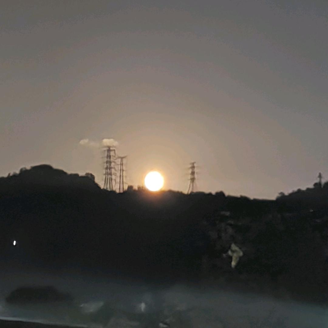 是你的卢可爱呀