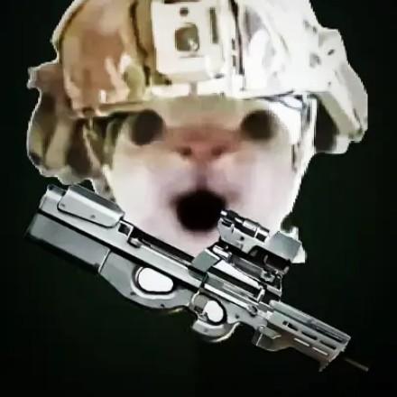 高冷