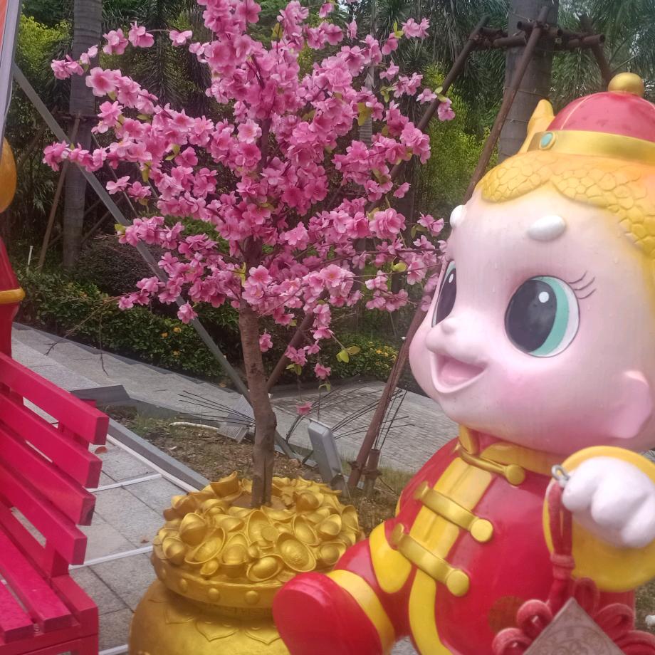 瓜子壳