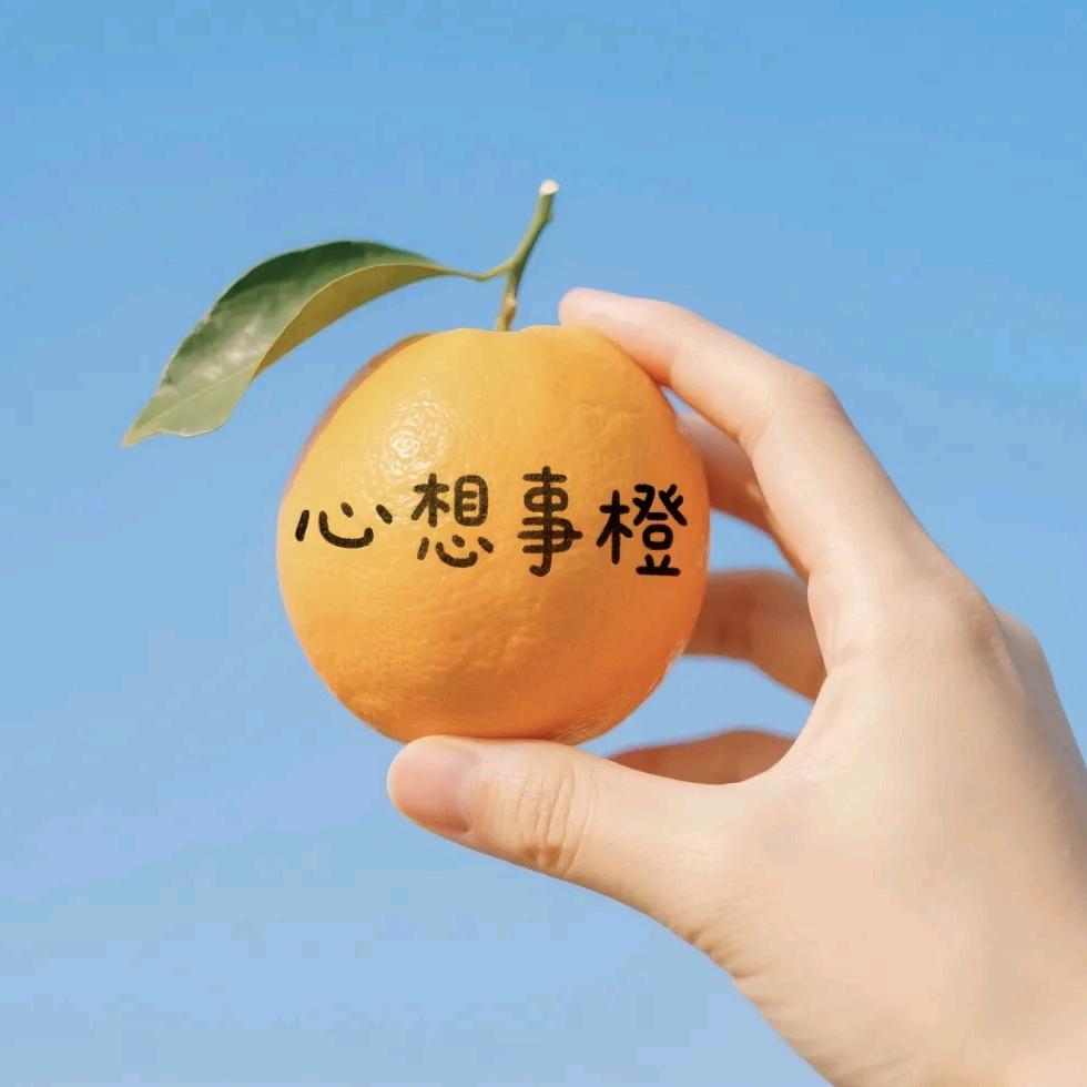 幸运草🍀