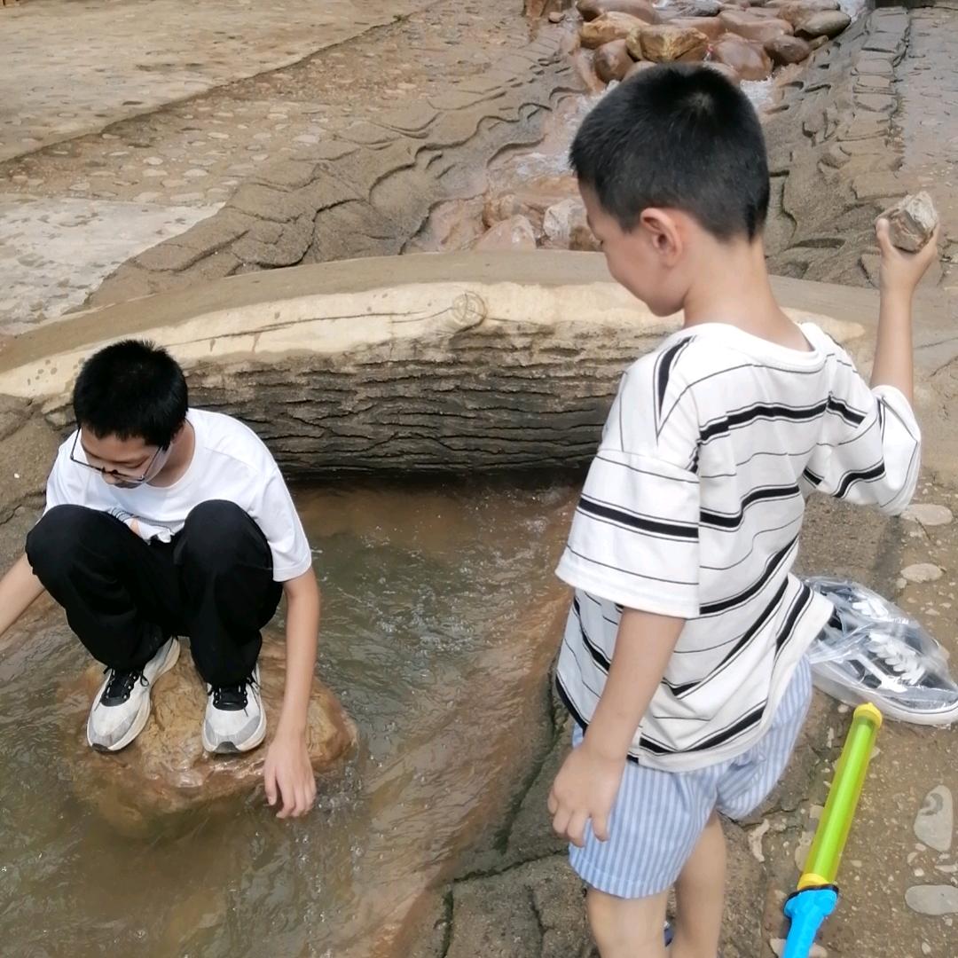小山楂