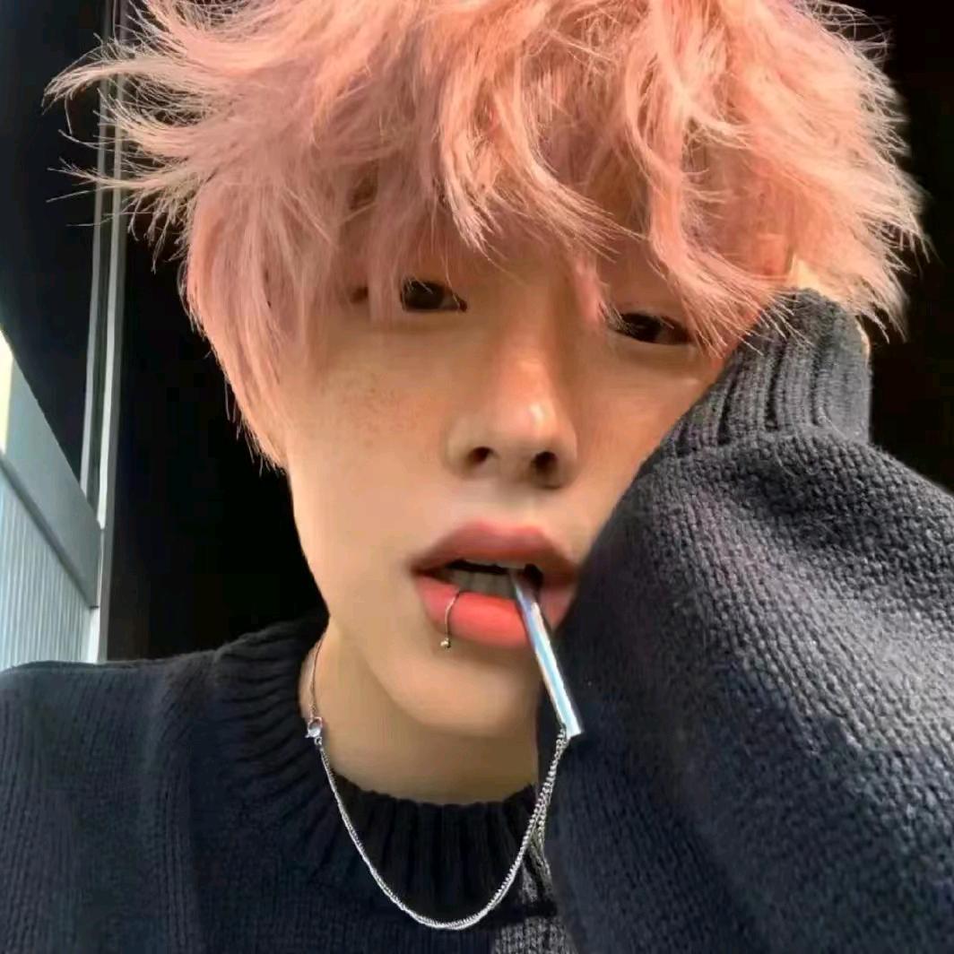 鲨🦈