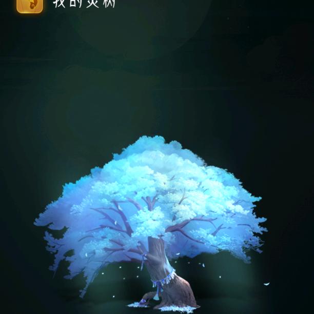 老张不隔壁