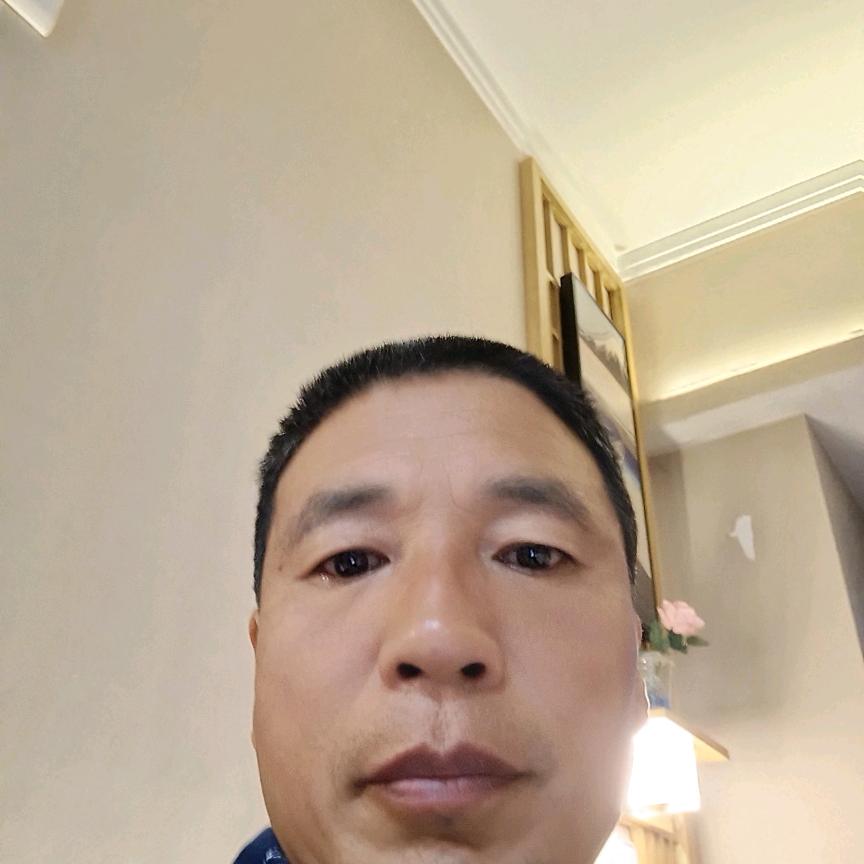 闫树