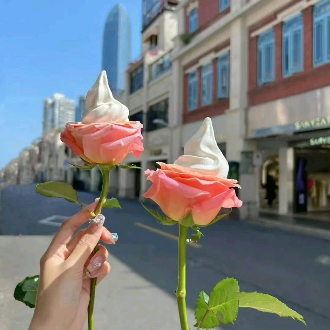 🚦我是农民💔