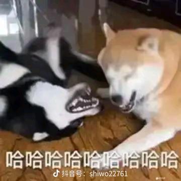 脑子🧠脑子🧠