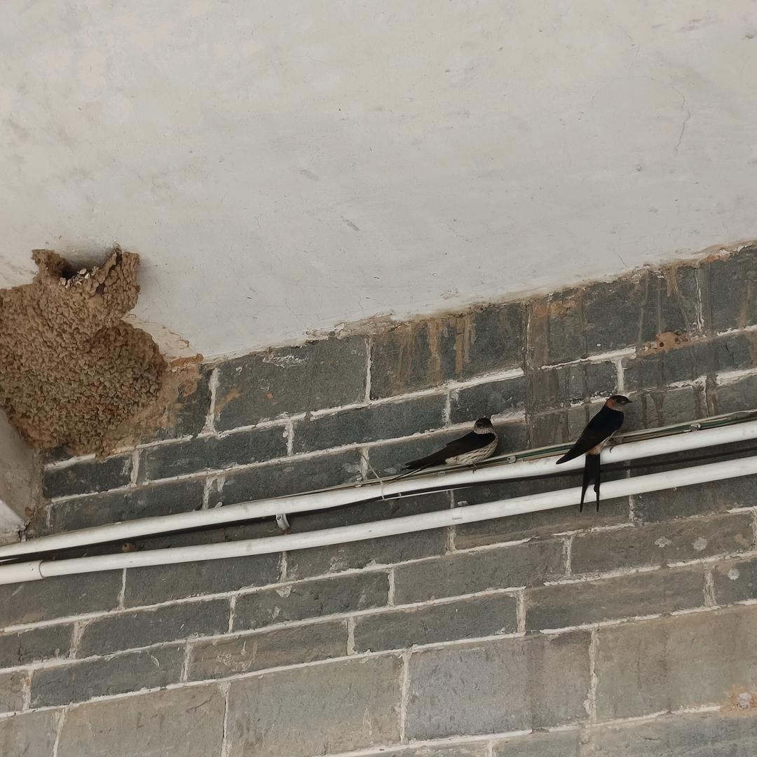莫过于