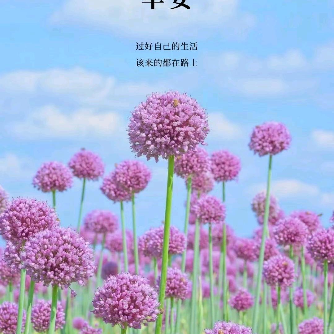 🌈🌈雨后彩虹