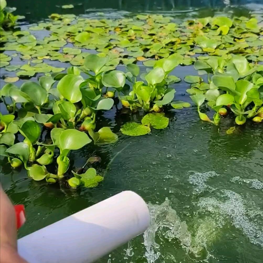 A韩连水产养殖孵化