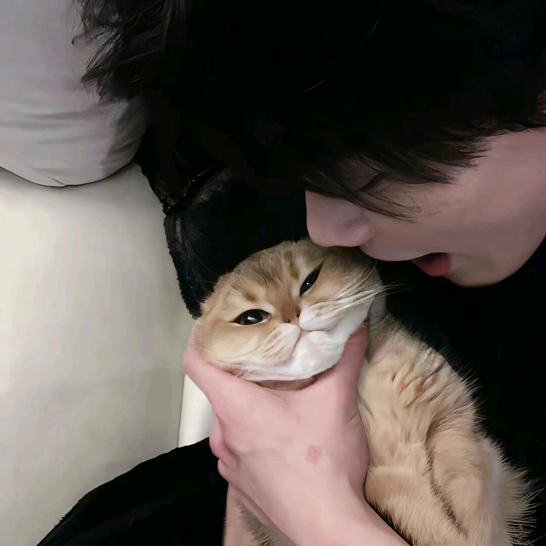 焱