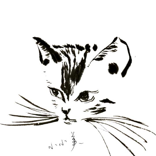 Yee只小奶烊