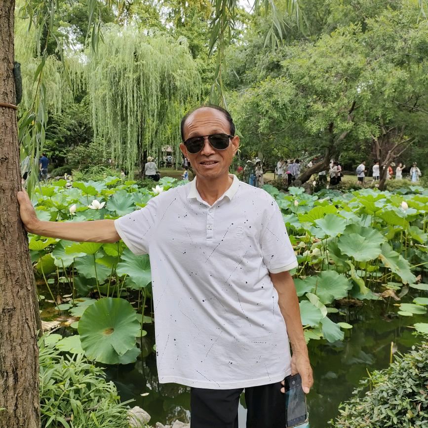 子画🌹🌹🌹🌹🌹🌹