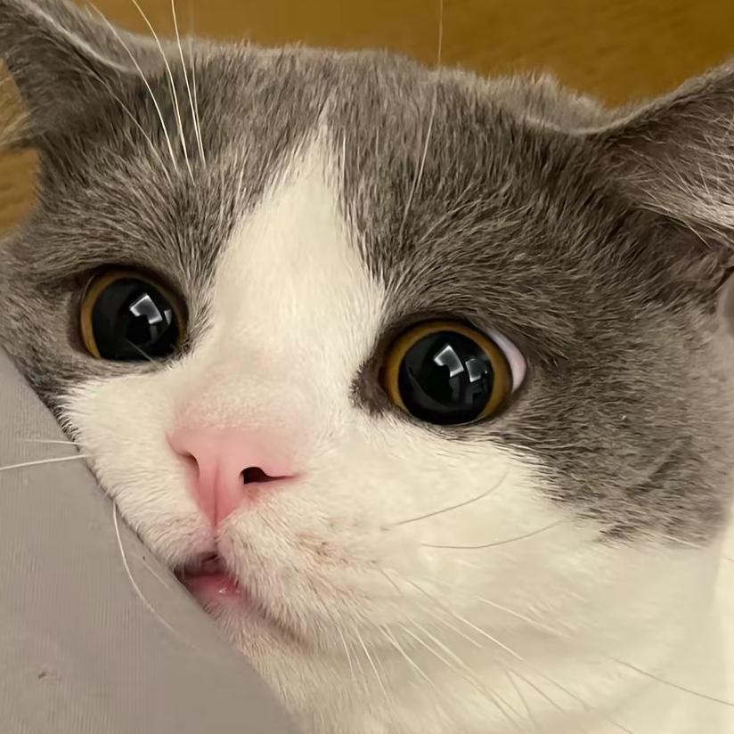 蓝白漫解