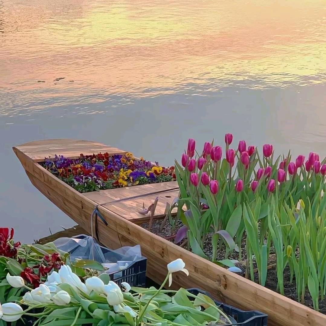 晴晚晚🌷