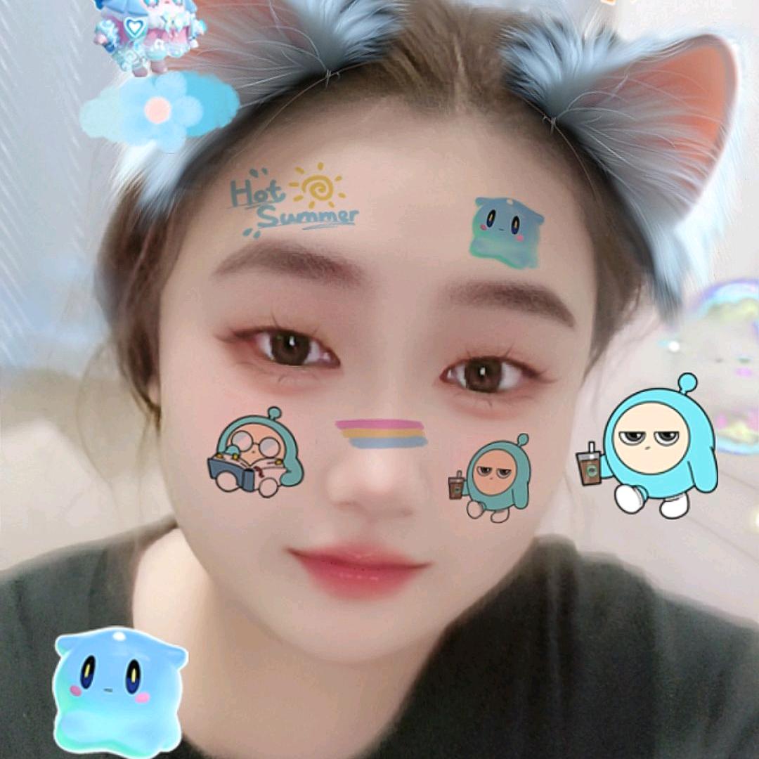 一只熊宠物零食烘焙